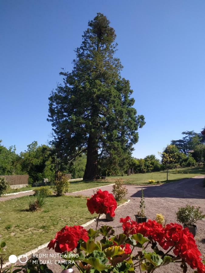 Le Manoir Sequoia Hotel Airvault Екстериор снимка